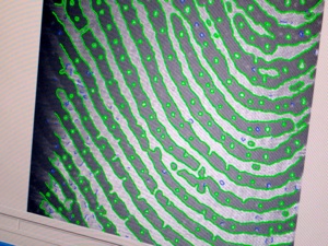 DSCN0261